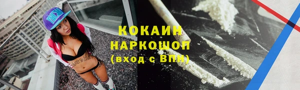 хмурый Арсеньев