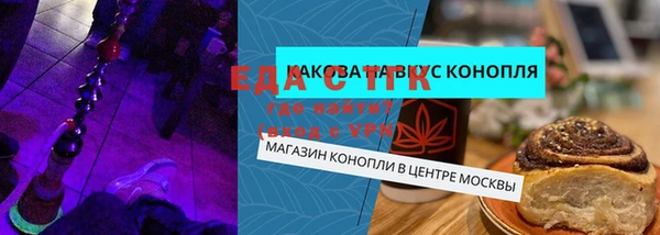хмурый Арсеньев