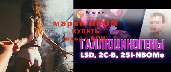 стаф Аркадак