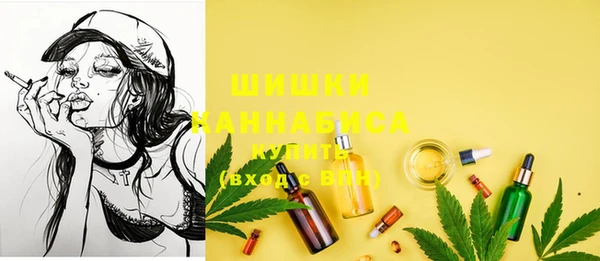 шишки Богданович
