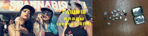 хмурый Арсеньев