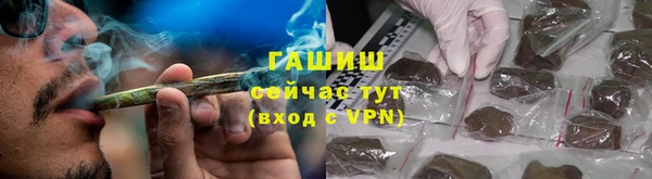 сатива Богородицк