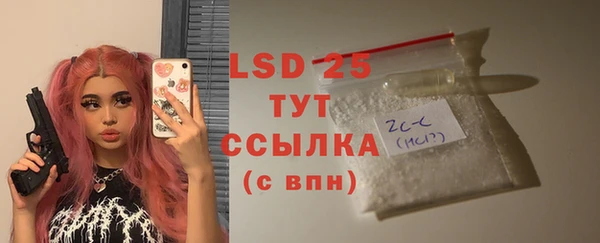 стаф Аркадак
