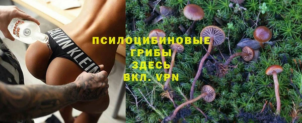 хмурый Арсеньев
