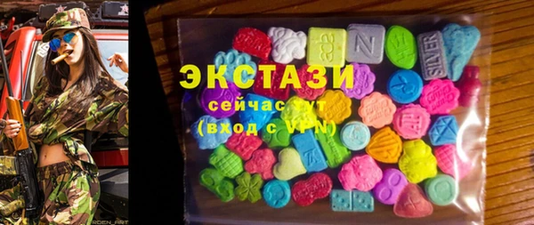 хмурый Арсеньев