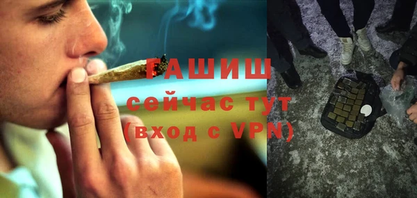 стаф Аркадак