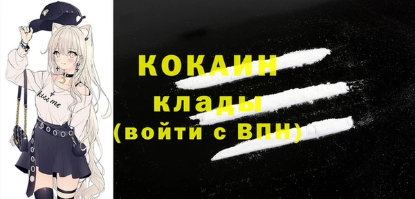 стаф Аркадак