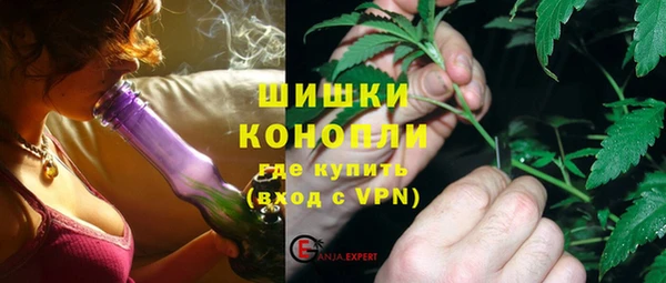 стаф Аркадак
