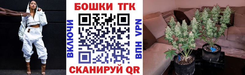 хочу наркоту  shop какой сайт  Бошки Шишки Bruce Banner  Онега 